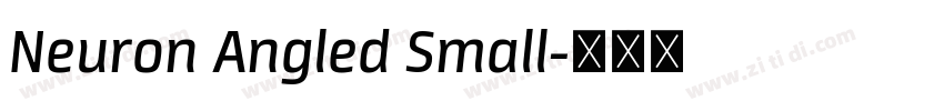 Neuron Angled Small字体转换